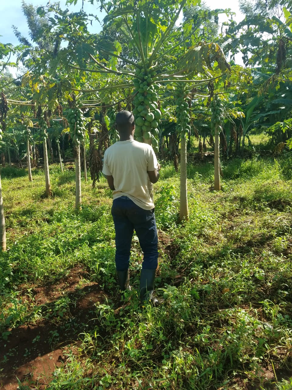Agricultural Initiatives